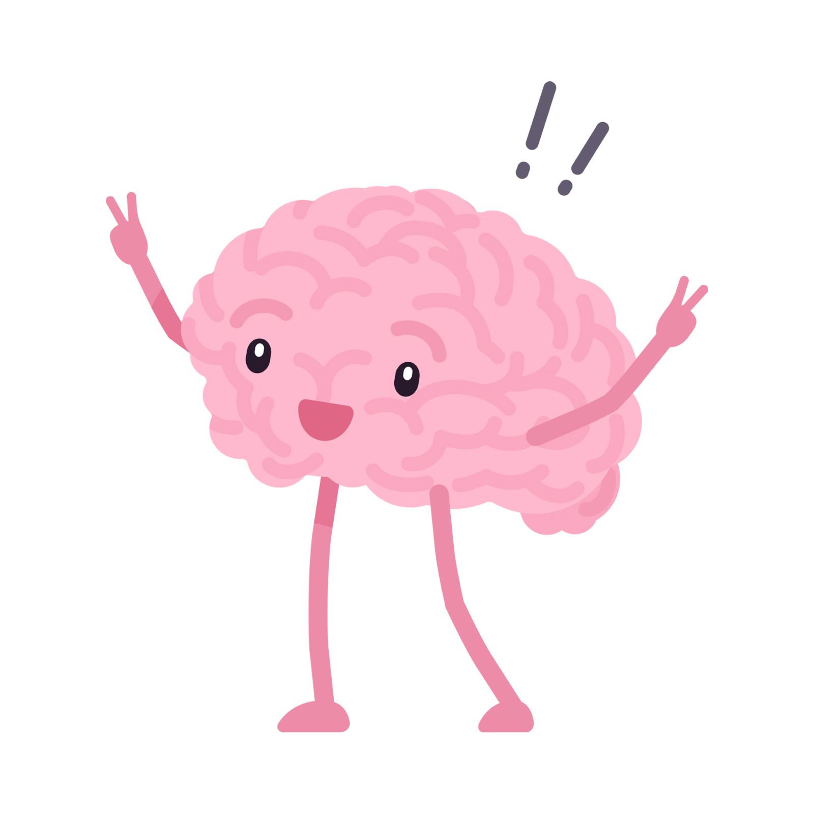 WhatsApp Image 2025-06-12 at 14.34.36_e6892a62